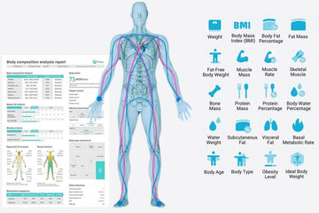 Comprehensive Full-body Measurement